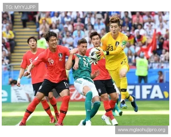 南非世界杯韩国比赛场馆的容量、座位布局及观赛体验详解